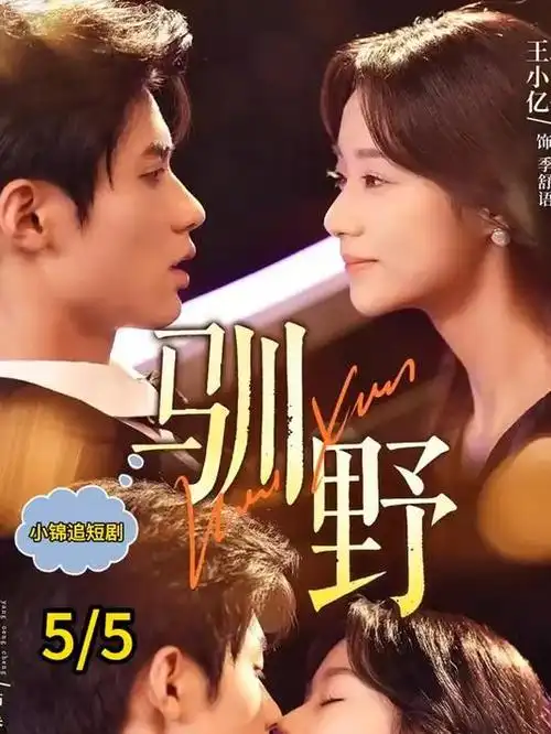 韩剧汉江以北在线观看封面